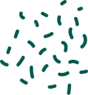 Build Your Career with IT Training Courses & Certification | Squadkin Learning Institute